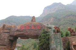 中国猴山